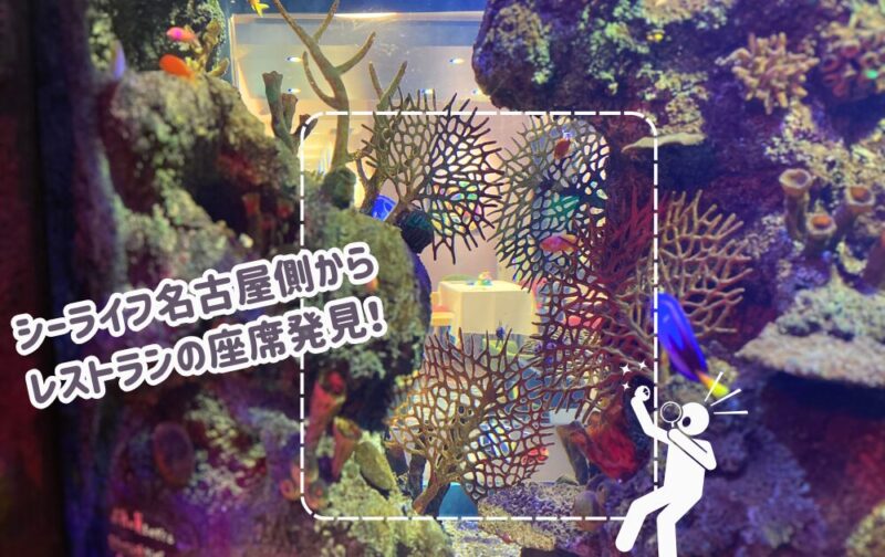 レゴランドホテルから見えるシーライフ名古屋の水槽
