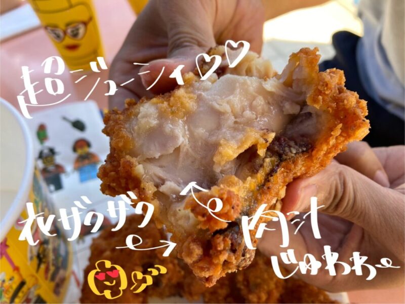 レゴランドのチキンダイナーのフライドチキン