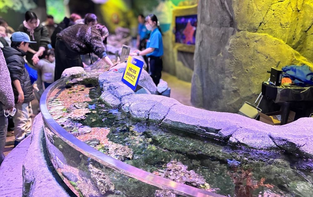 シーライフ名古屋の見どころ・フォトスポット