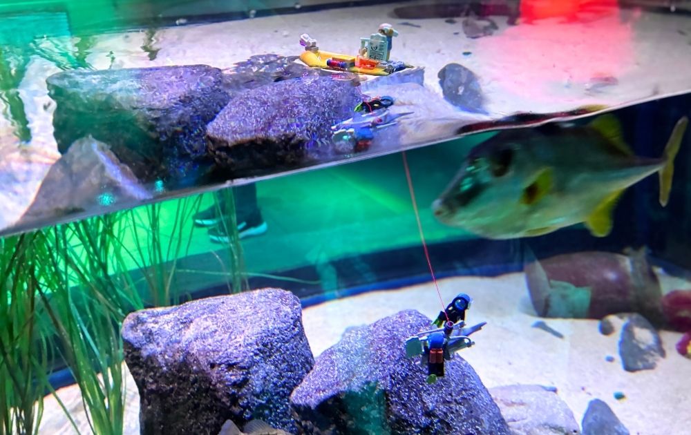 シーライフ名古屋の見どころ・フォトスポット