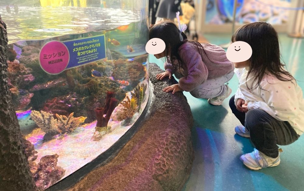 シーライフ名古屋の見どころ・フォトスポット