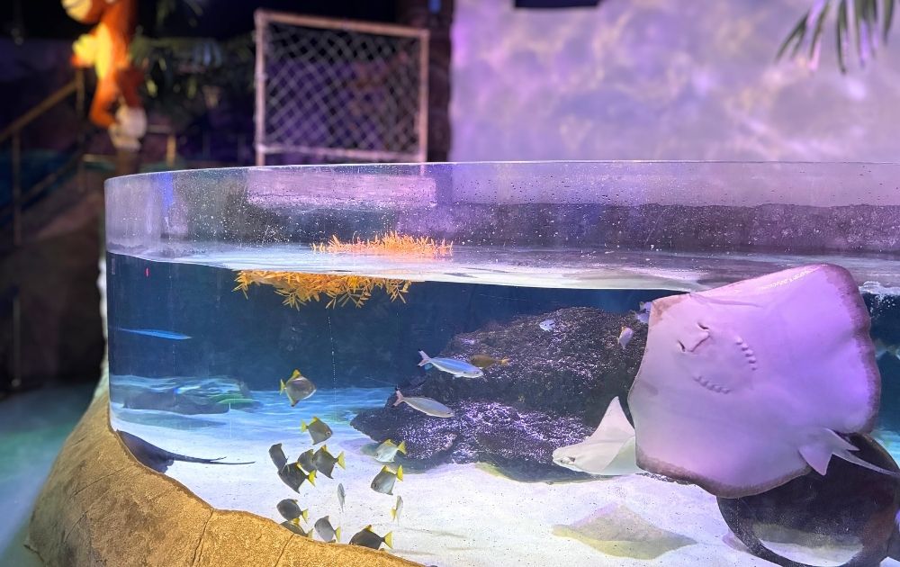 シーライフ名古屋の見どころ・フォトスポット