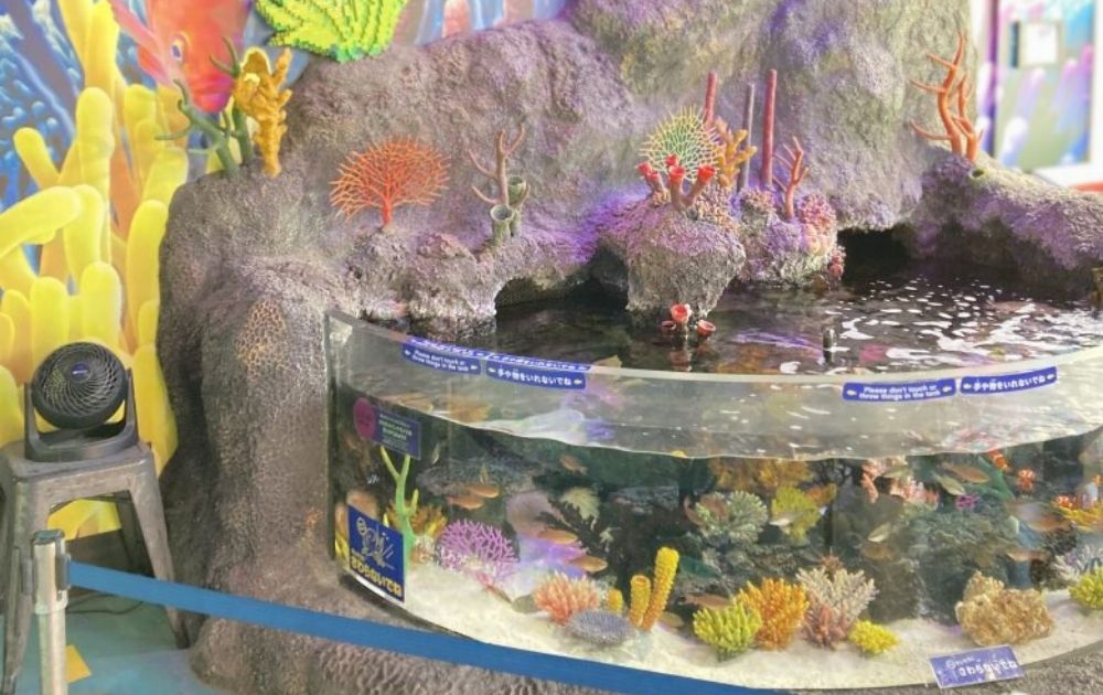 シーライフ名古屋の見どころ・フォトスポット