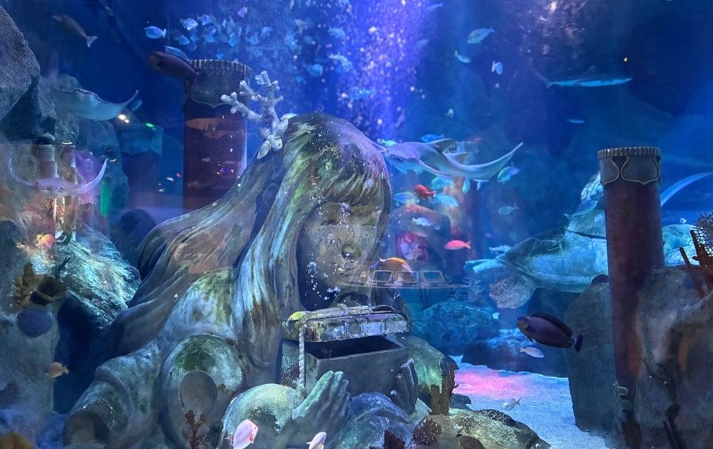 シーライフ名古屋の見どころ・フォトスポット