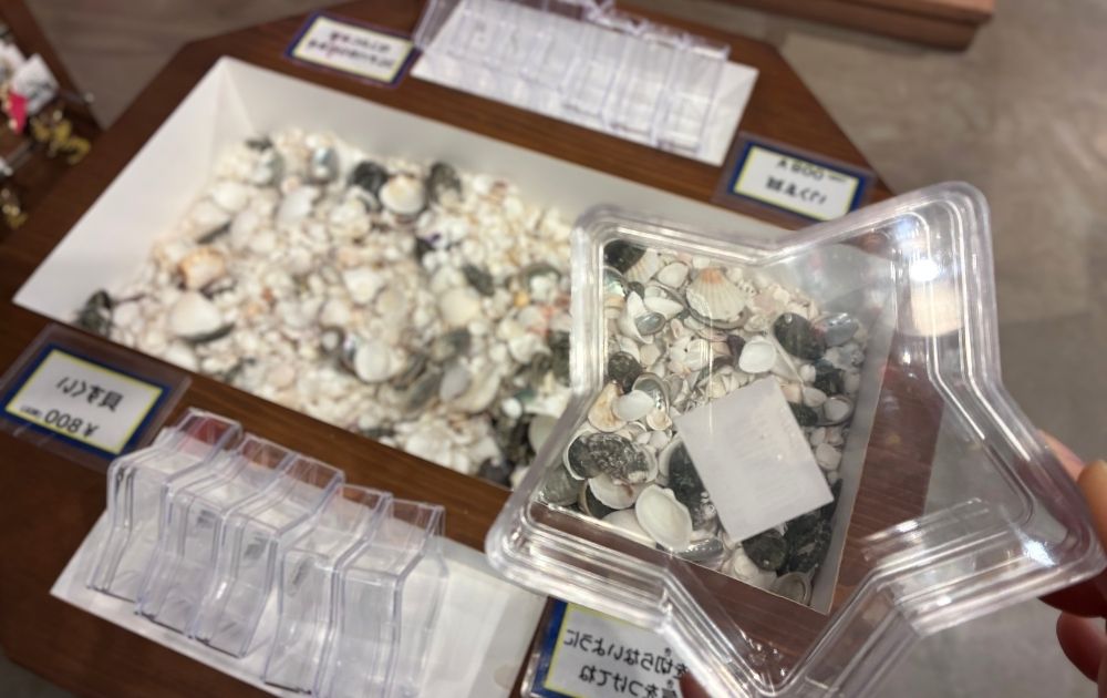 シーライフ名古屋ショップ・お土産