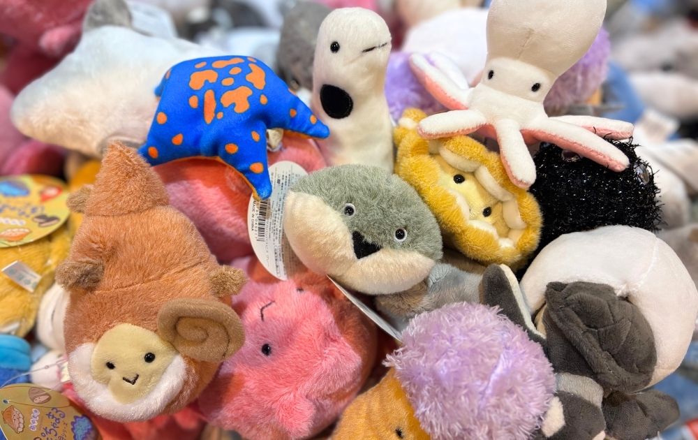 シーライフ名古屋ショップ・お土産