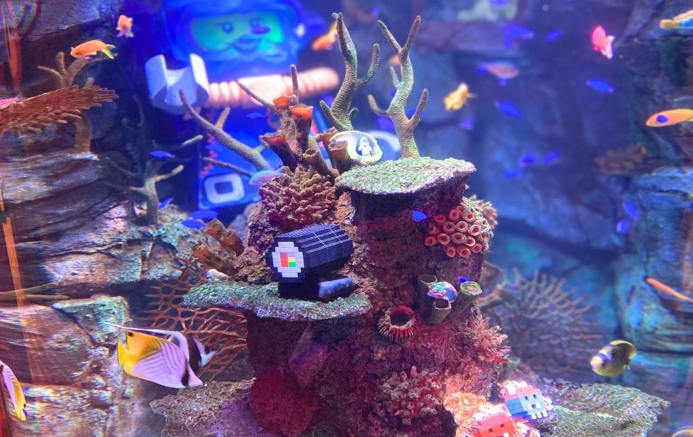 シーライフ名古屋の見どころ・フォトスポット