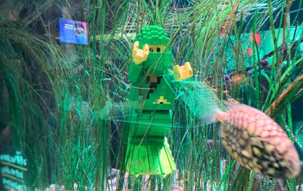 シーライフ名古屋の見どころ・フォトスポット