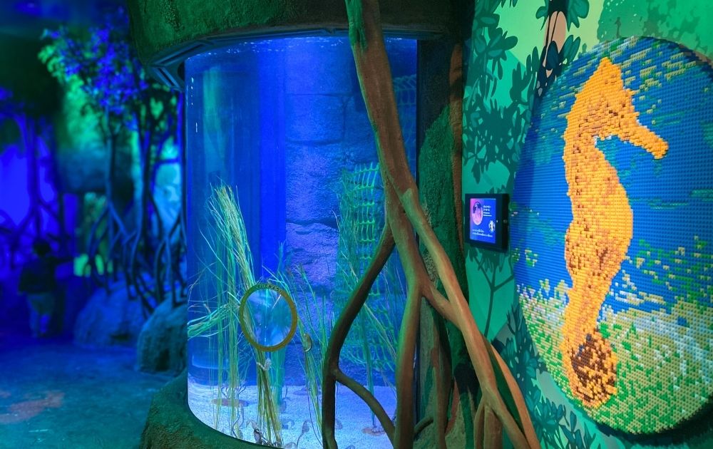 シーライフ名古屋の見どころ・フォトスポット