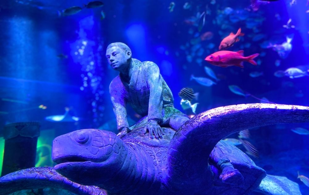 シーライフ名古屋の見どころ・フォトスポット