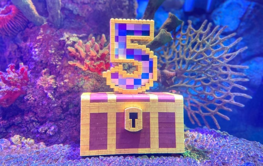 シーライフ名古屋の見どころ・フォトスポット