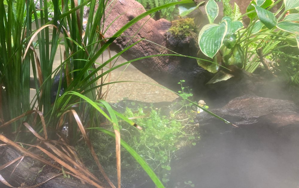 シーライフ名古屋の見どころ・フォトスポット