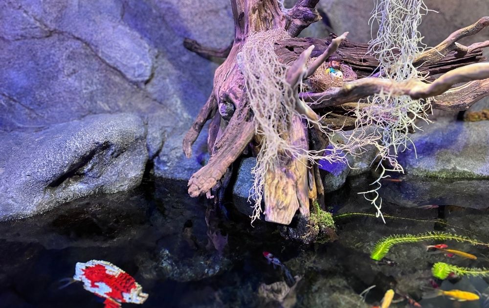 シーライフ名古屋の見どころ・フォトスポット