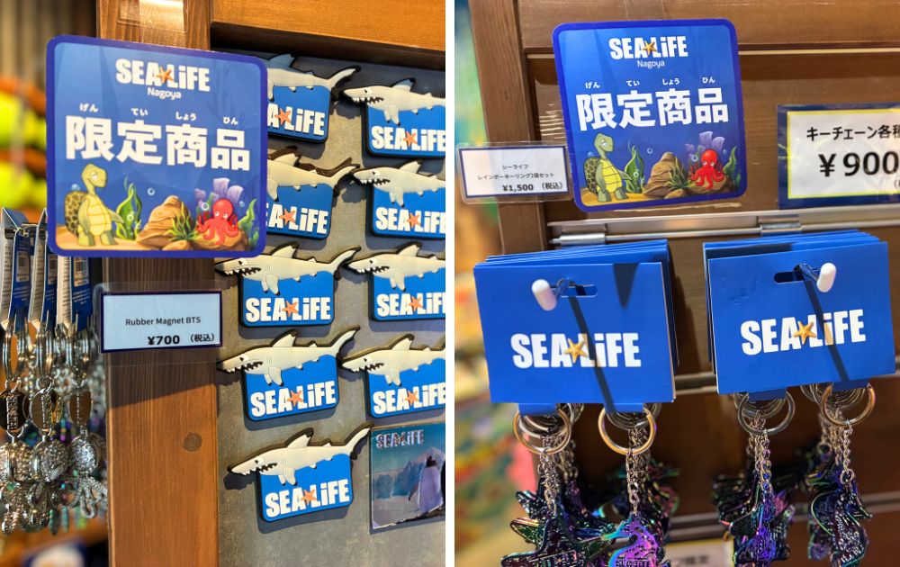 シーライフ名古屋の見どころ・フォトスポット