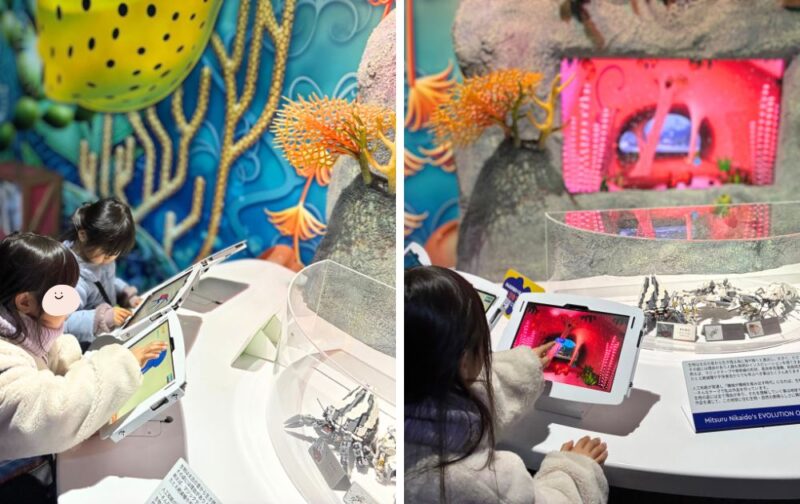 シーライフ名古屋の見どころ・フォトスポット