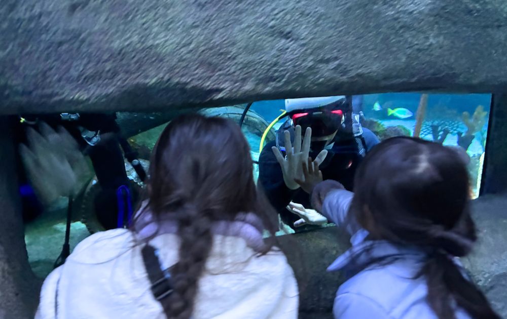 シーライフ名古屋の見どころ・フォトスポット