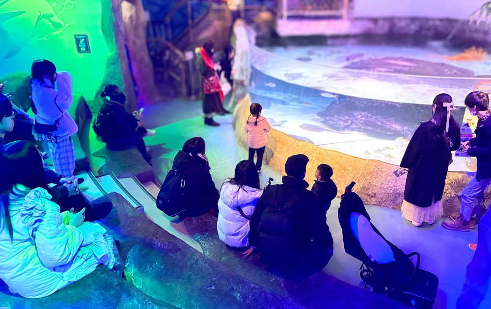 シーライフ名古屋の見どころ・フォトスポット