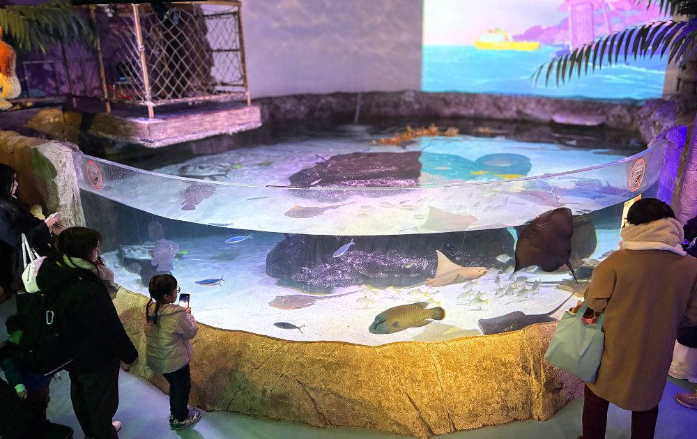 シーライフ名古屋の見どころ・フォトスポット