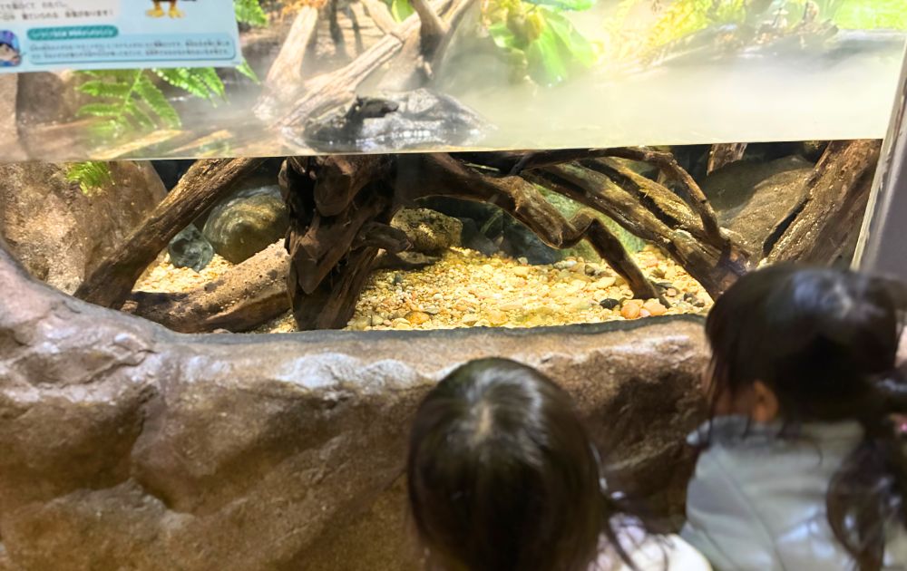 シーライフ名古屋の見どころ・フォトスポット