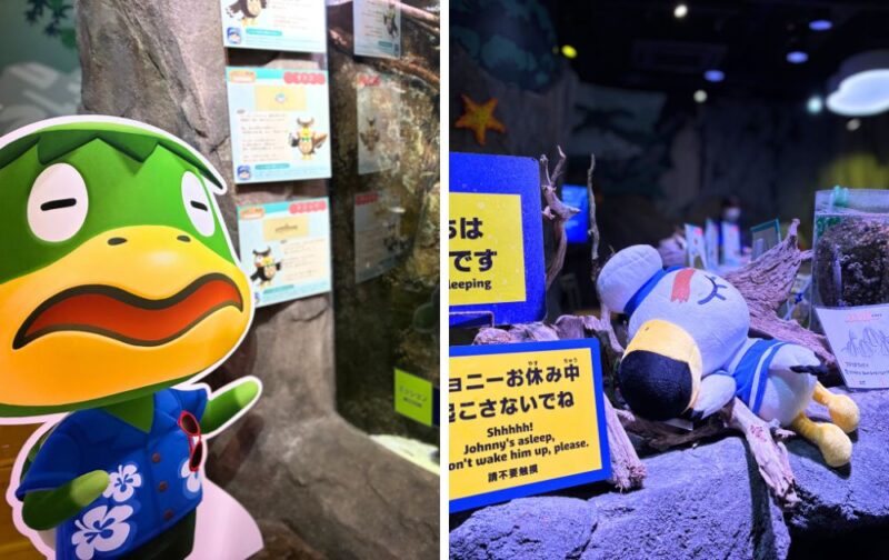 シーライフ名古屋のどうぶつの森コラボ