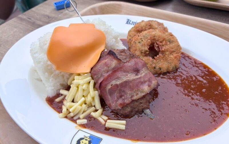 レゴランドのナイトテーブルレストランで食べられるカレー
